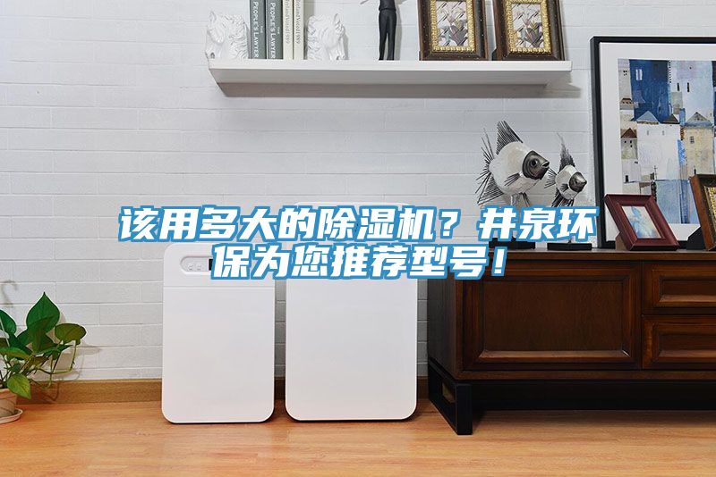 该用多大的猫咪成人官网？井泉环保为您推荐型号！