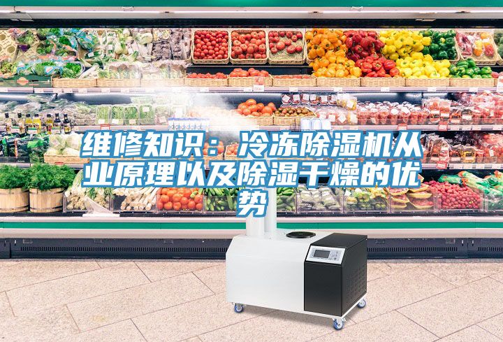 维修知识：冷冻猫咪成人官网从业原理以及除湿干燥的优势