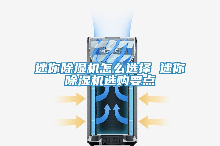 迷你猫咪成人官网怎么选择 迷你猫咪成人官网选购要点