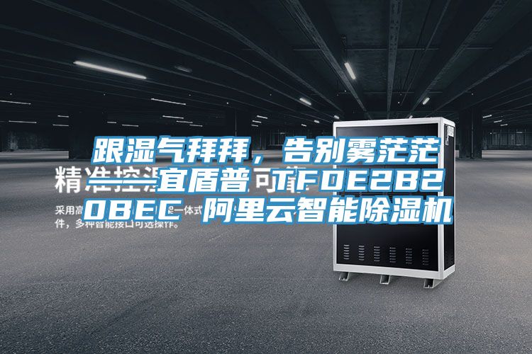 跟湿气拜拜，告别雾茫茫——宜盾普 TFDE2B20BEC 阿里云智能猫咪成人官网