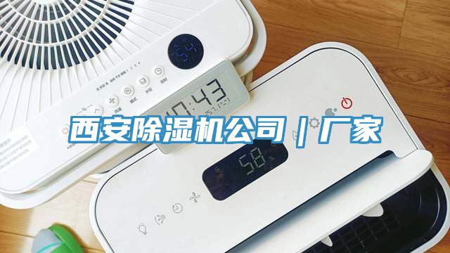 西安猫咪成人官网公司｜厂家