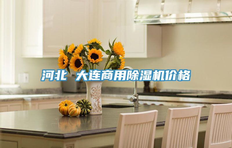 河北 大连商用猫咪成人官网价格