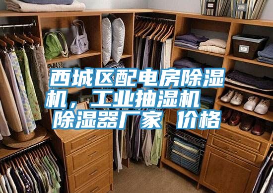 西城区配电房猫咪成人官网，工业抽湿机  除湿器厂家 价格