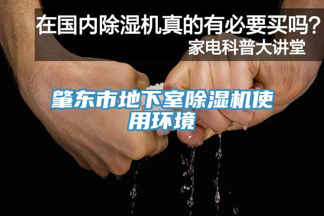 肇东市地下室猫咪成人官网使用环境
