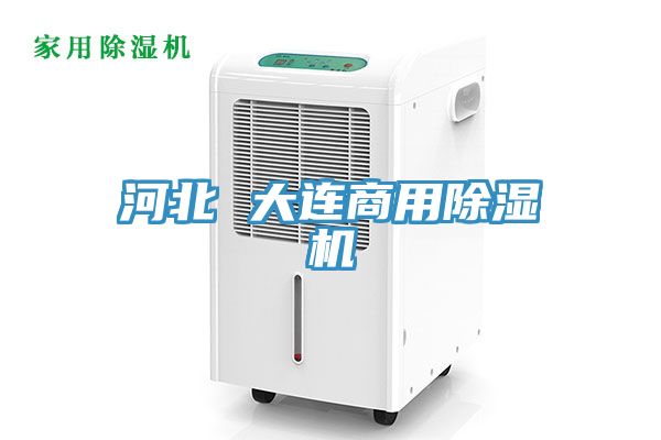 河北 大连商用猫咪成人官网