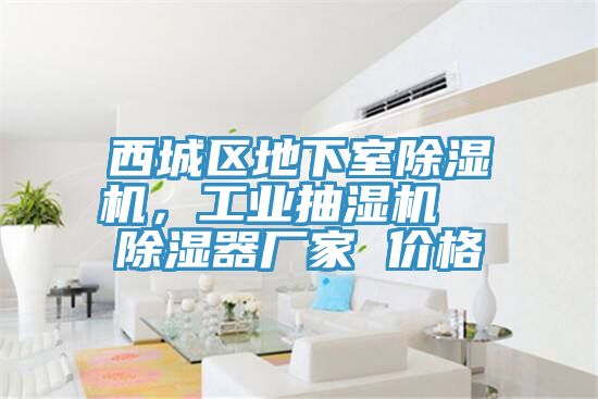 西城区地下室猫咪成人官网，工业抽湿机  除湿器厂家 价格