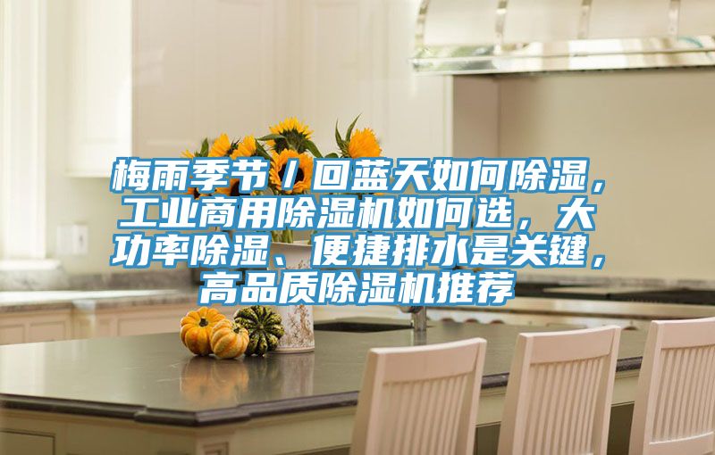 梅雨季节／回蓝天如何除湿，工业商用猫咪成人官网如何选，大功率除湿、便捷排水是关键，高品质猫咪成人官网推荐