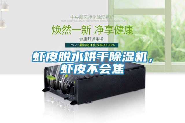 虾皮脱水烘干猫咪成人官网，虾皮不会焦