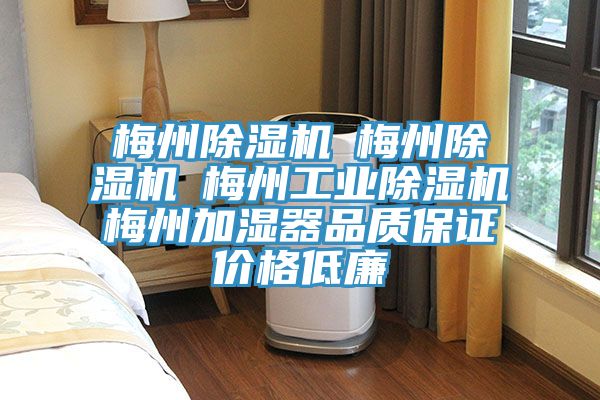 梅州猫咪成人官网☆梅州猫咪成人官网☆梅州工业猫咪成人官网☆梅州加湿器品质保证价格低廉