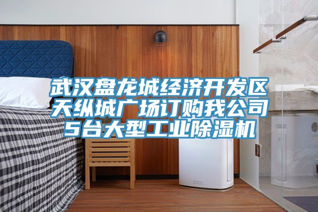 武汉盘龙城经济开发区天纵城广场订购我公司5台大型工业猫咪成人官网