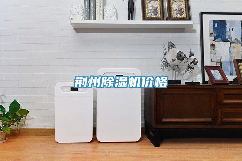 荆州猫咪成人官网价格