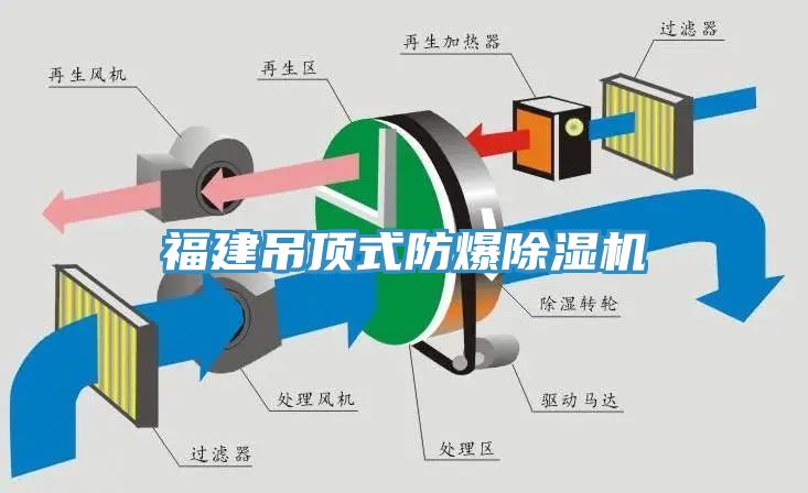 福建吊顶式防爆猫咪成人官网