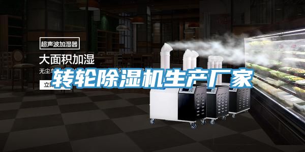 转轮猫咪成人官网生产厂家