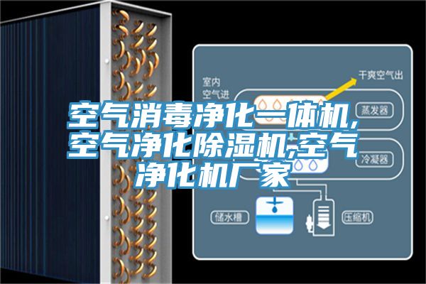 空气消毒净化一体机,空气净化猫咪成人官网,空气净化机厂家