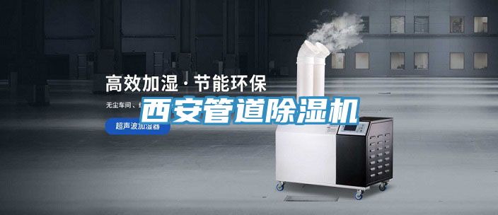 西安管道猫咪成人官网