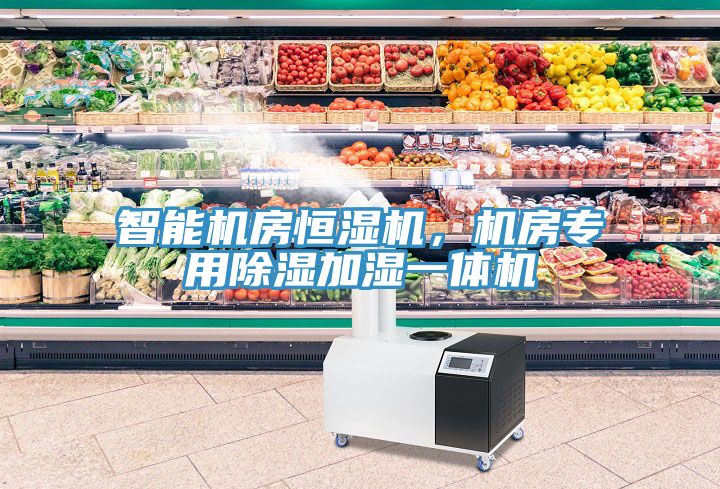 智能机房恒湿机，机房专用除湿加湿一体机