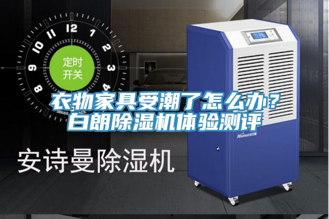 衣物家具受潮了怎么办？白朗猫咪成人官网体验测评