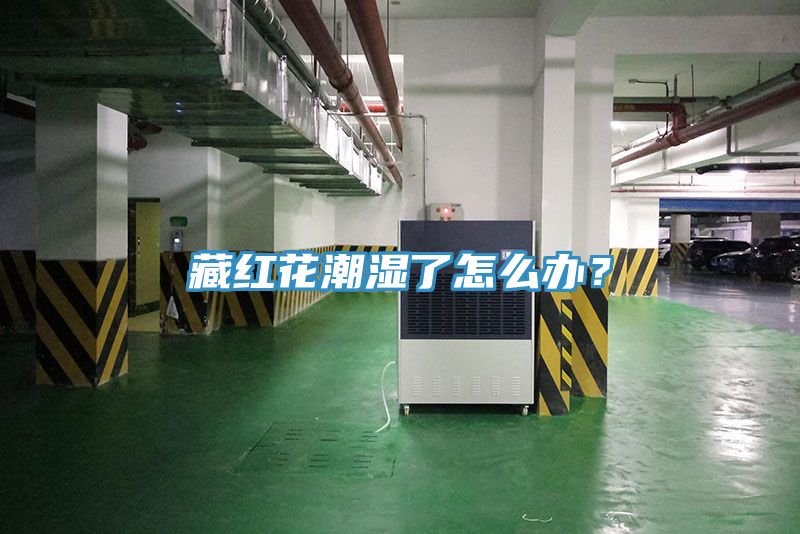 藏红花潮湿了怎么办？