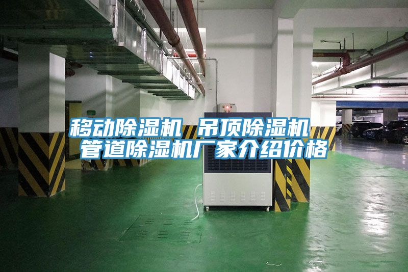移动猫咪成人官网 吊顶猫咪成人官网  管道猫咪成人官网厂家介绍价格