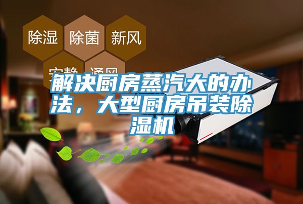 解决厨房蒸汽大的办法，大型厨房吊装猫咪成人官网