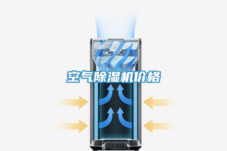空气猫咪成人官网价格