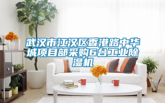 武汉市江汉区香港路中华城项目部采购6台工业猫咪成人官网