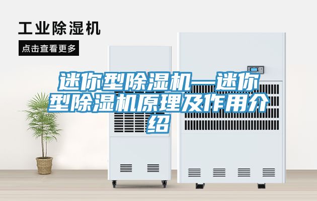 迷你型猫咪成人官网—迷你型猫咪成人官网原理及作用介绍