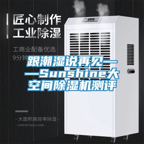 跟潮湿说再见——Sunshine大空间猫咪成人官网测评
