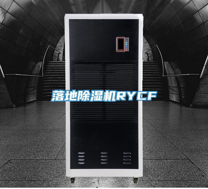 落地猫咪成人官网RYCF