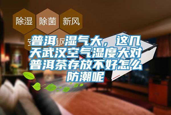 普洱 湿气大，这几天武汉空气湿度大对普洱茶存放不好怎么防潮呢