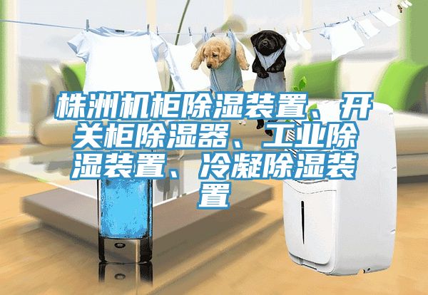 株洲机柜除湿装置、开关柜除湿器、工业除湿装置、冷凝除湿装置