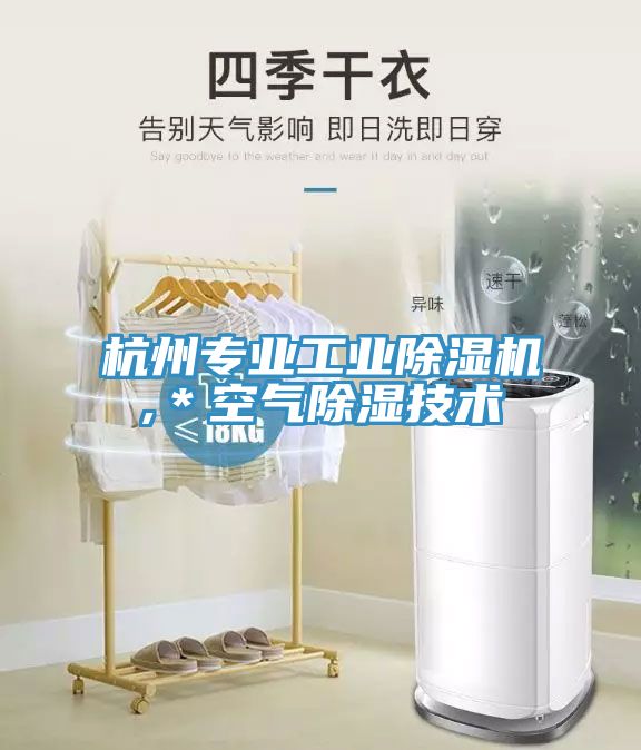 杭州专业工业猫咪成人官网,＊空气除湿技术
