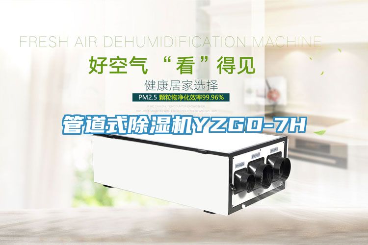 管道式猫咪成人官网YZGD-7H