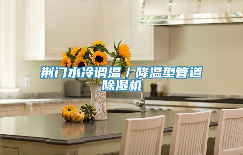 荆门水冷调温／降温型管道猫咪成人官网