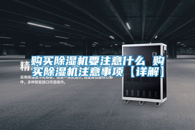 购买猫咪成人官网要注意什么 购买猫咪成人官网注意事项【详解】