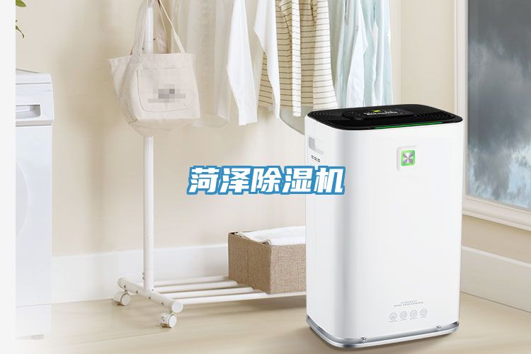 菏泽猫咪成人官网