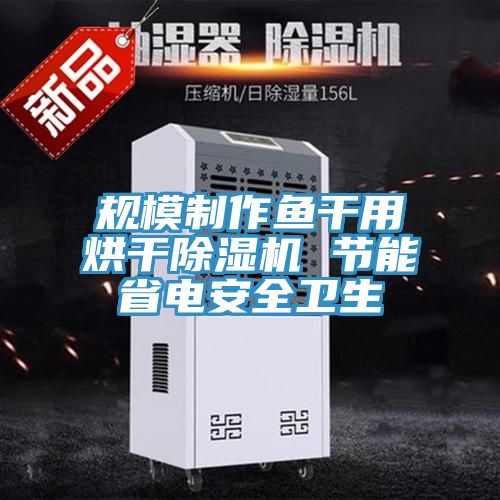规模制作鱼干用烘干猫咪成人官网 节能省电安全卫生