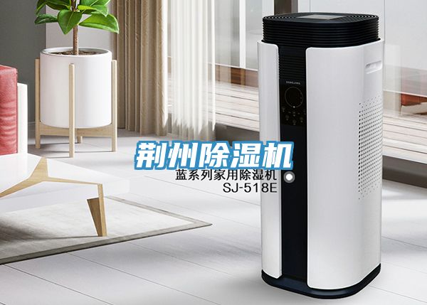 荆州猫咪成人官网