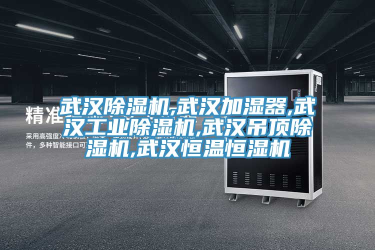 武汉猫咪成人官网,武汉加湿器,武汉工业猫咪成人官网,武汉吊顶猫咪成人官网,武汉恒温恒湿机
