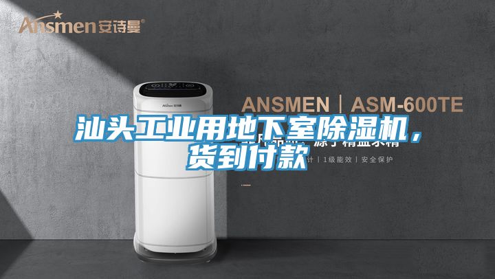 汕头工业用地下室猫咪成人官网，货到付款