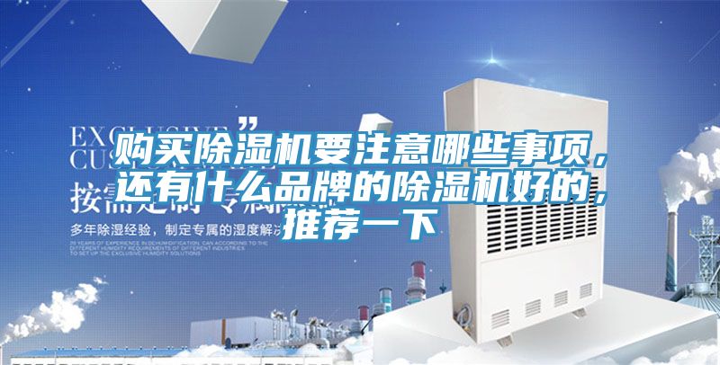 购买猫咪成人官网要注意哪些事项，还有什么品牌的猫咪成人官网好的，推荐一下