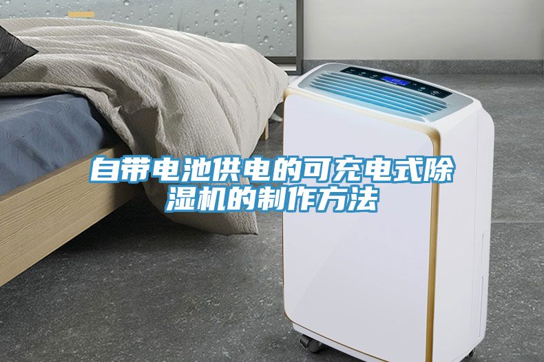 自带电池供电的可充电式猫咪成人官网的制作方法