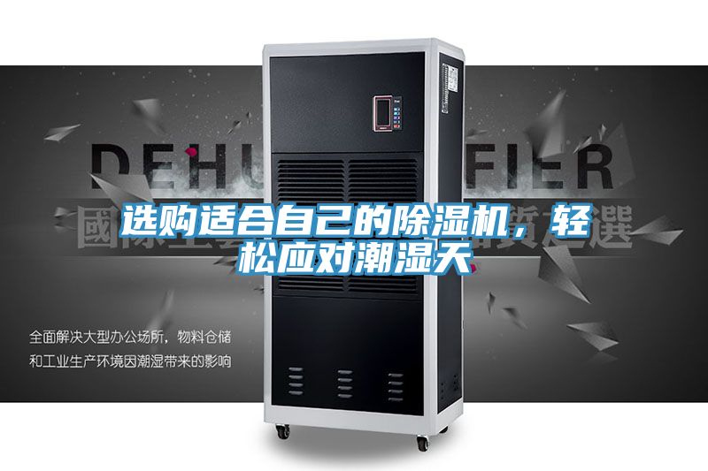 选购适合自己的猫咪成人官网，轻松应对潮湿天