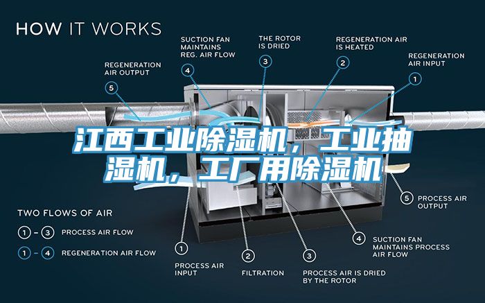 江西工业猫咪成人官网，工业抽湿机，工厂用猫咪成人官网