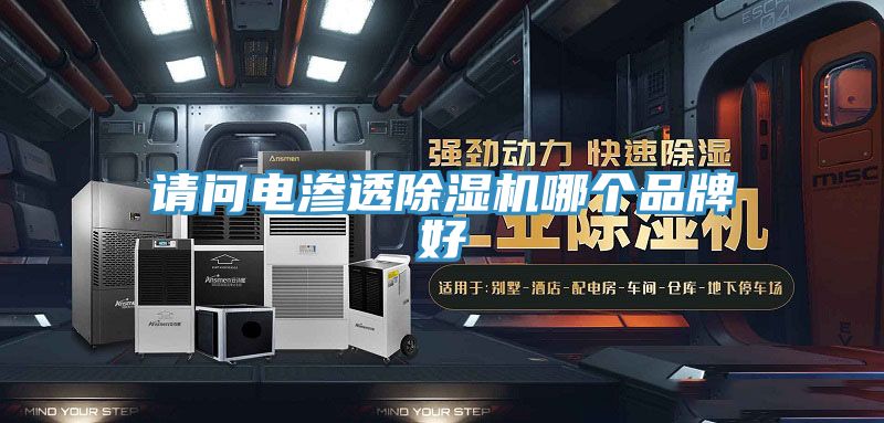 请问电渗透猫咪成人官网哪个品牌好