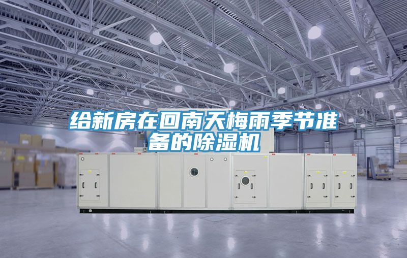 给新房在回南天梅雨季节准备的猫咪成人官网