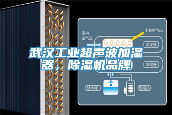 武汉工业超声波加湿器，猫咪成人官网品牌