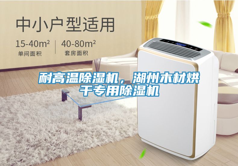 耐高温猫咪成人官网，湖州木材烘干专用猫咪成人官网
