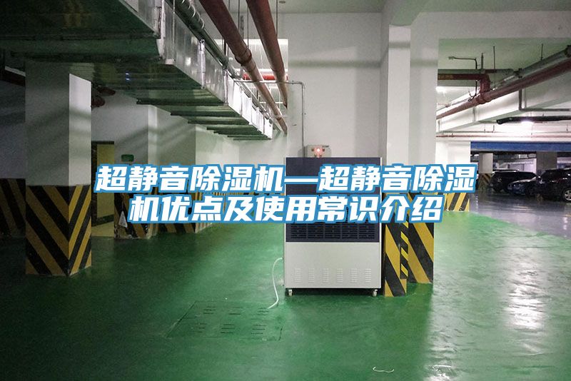 超静音猫咪成人官网—超静音猫咪成人官网优点及使用常识介绍