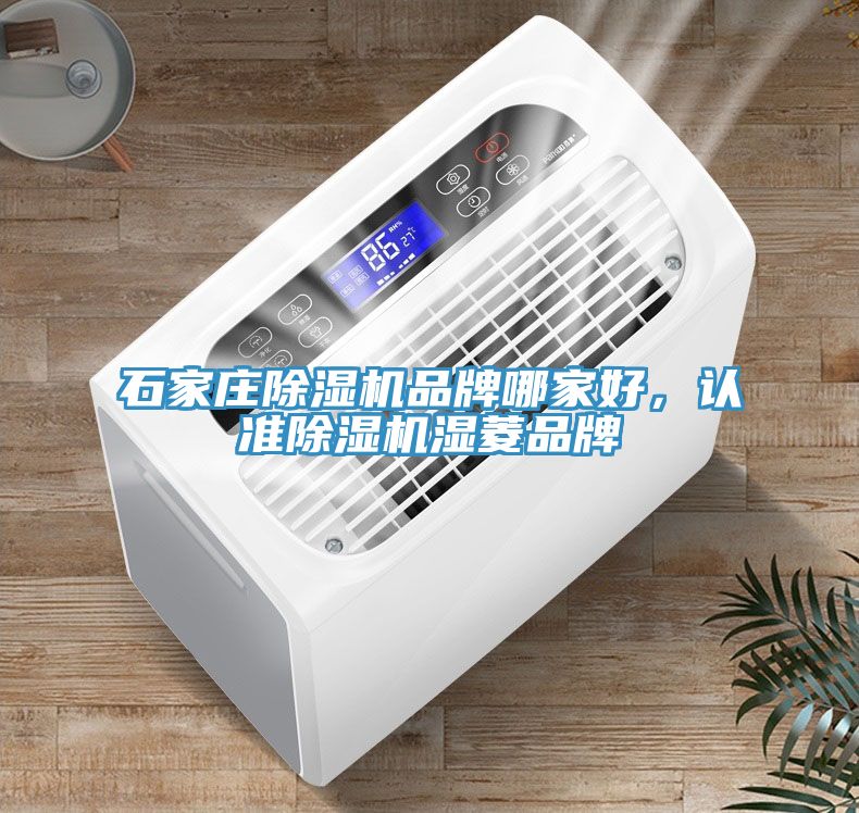 石家庄猫咪成人官网品牌哪家好，认准猫咪成人官网湿菱品牌